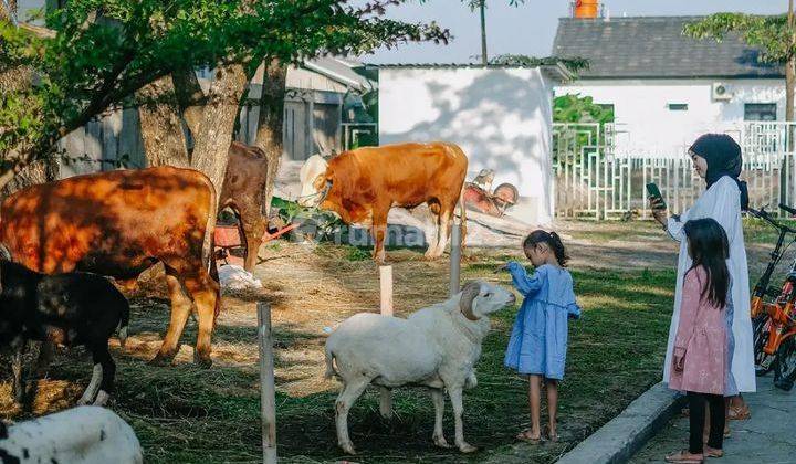 Rumah DP 0% Konsep Eropa di Kota Bandung - Ciwastra 4