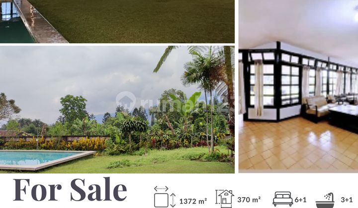 Villa di Cisarua Puncak Luas 1.372 M2 Cocok untuk Pribadi & Investasi Tinggi