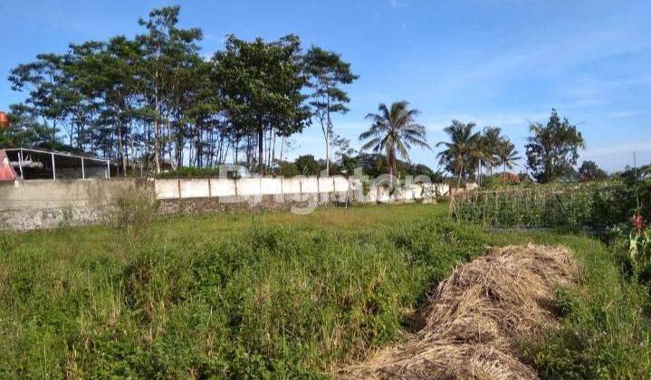 Tanah lokasi sangat strategis cocok untuk kontrakan,gudang atau rumah huni di lokasi Ciapus Cikaret gg kosasih 1