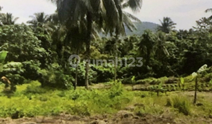 Dijual Tanah Kavling Molas, Manado 43.225 M2 Coldwell Banker