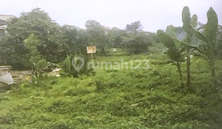 Tanah Kavling Dijual Warung Buncit 25.651 m2 Coldwell Banker Tanah Kavling Dijual Warung Buncit 25.651 m2 Coldwell Banker