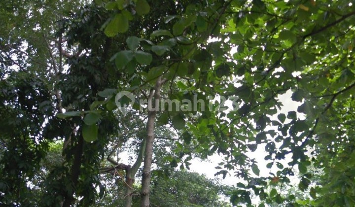 Empty Land for Rent in Cimanggis Depok Empty Land for Rent in Cimanggis Depok