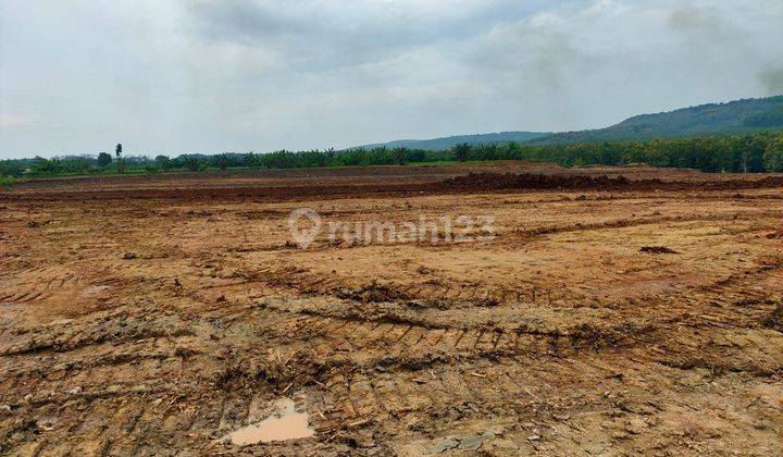 Di Bawah Harga Pasar, Rumah Cantik Termurah di Kendal Kaliwungu  12