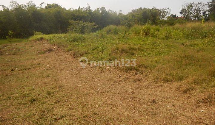 Dijual Tanah Kavling Klipang Murah 4