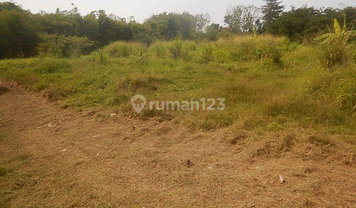 Dijual Tanah Kavling Klipang Murah 5