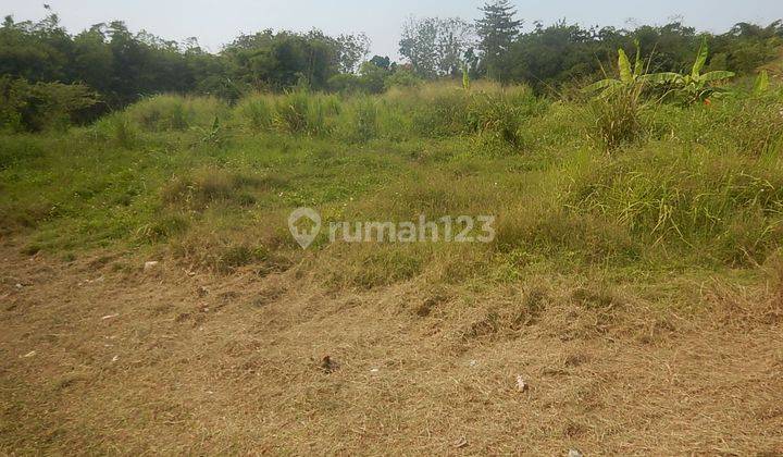 Dijual Tanah Kavling Klipang Murah 6