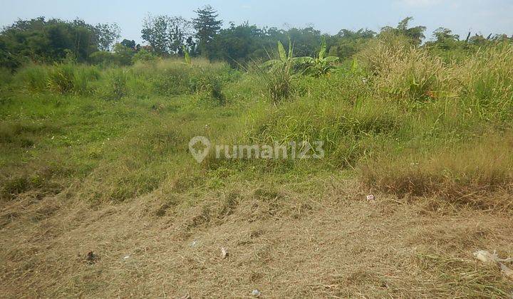 Dijual Tanah Kavling Klipang Murah 7