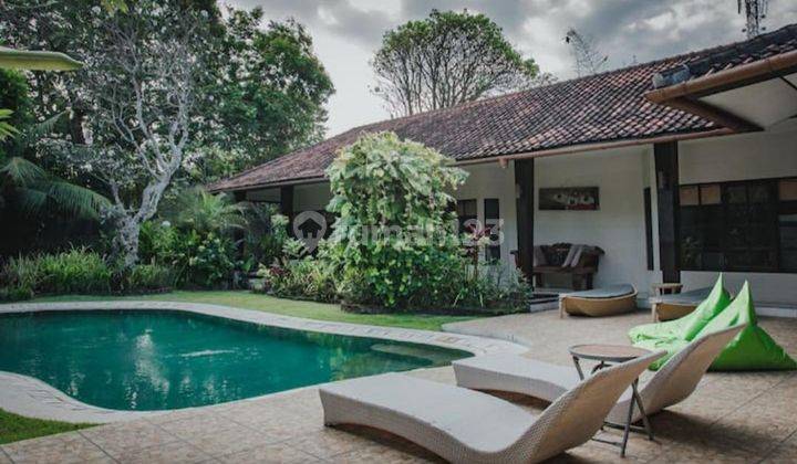 For Lease Spacious 4 BR Modern Villa In Benoa Nusa Dua 2