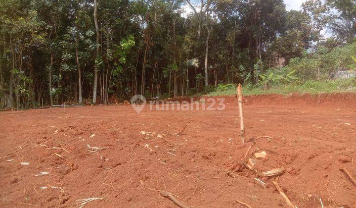 Tanah kavling dekat kampus unnes kalisegoro gunungpati semarang 1