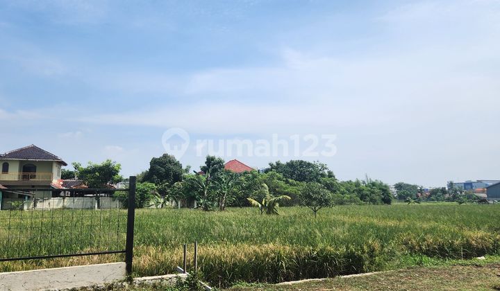 Tanah sawah di teluknaga tangerang Tanah sawah di teluknaga tangerang