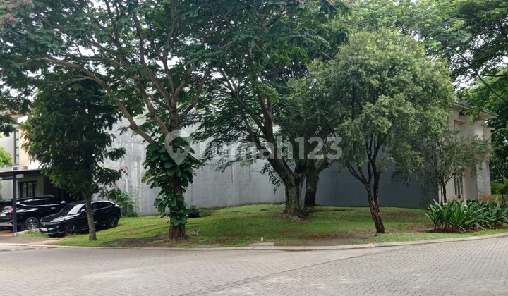 Rarely Available Plot in BSD Rarely Available Plot in BSD