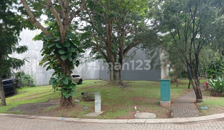 Rarely Available Plot in BSD Rarely Available Plot in BSD