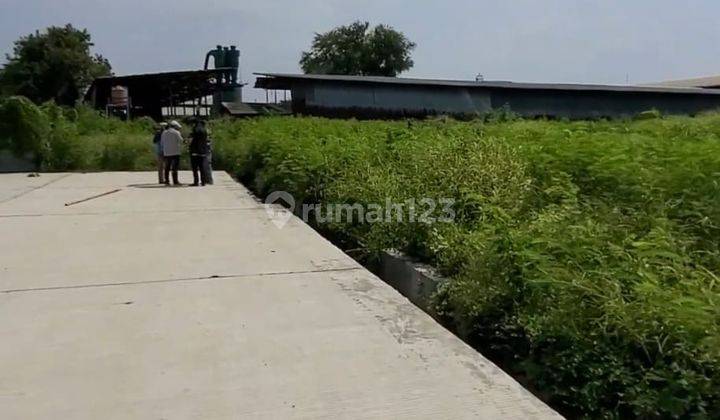 Kavling Kamal Muara Termurah , Jalanan Sudah di Cor, Akses Bisa Untuk Kontainer 40 Feet Siap Pakai 1
