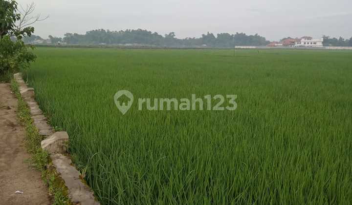 Tanah di Mekarsari Jawa Barat Hadap Timur Posisi Bagus Sudah SHM  2