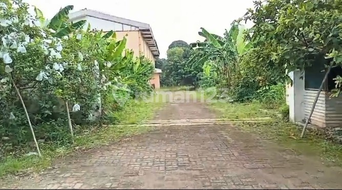 Dijual Tanah Free Gudang Lenteng Agung Jagakarsa Pinggir Jalan Utama Dijual Tanah Free Gudang Lenteng Agung Jagakarsa Pinggir Jalan Utama