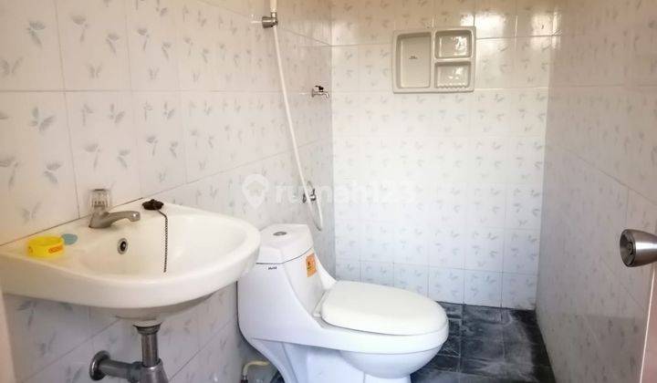 Jual Tanah Bonus Bangunan Dan Kebun Buah Aktif di Banyuwangi 9
