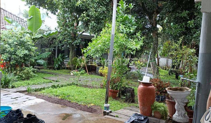 Di Jual Rumah Tua Area Dago Atas Lt 1295 Hitung Tanah Saja  1