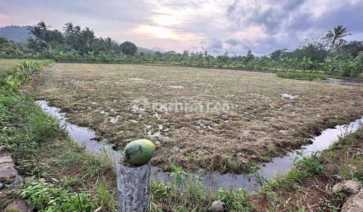 Dijual Cepat Tanah di Carita Pandeglang Cocok Buat Usaha 2