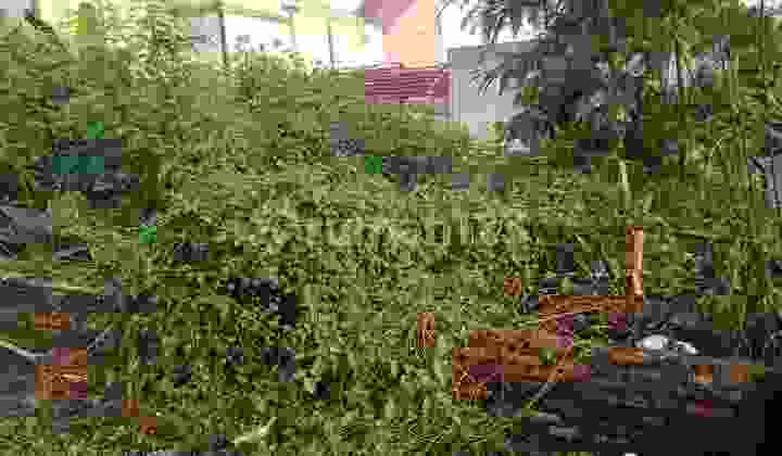 JUAL TANAH BONUS RUMAH DIBAWAH HARGA PASAR STRATEGIS BEBAS BANJIR DI JALAN RATNA JATI KRAMAT BEKASI 6