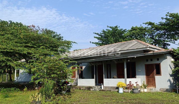 Dijual Tanah Perkebunan & Peternakan Bagus Ada Villa di Bogor Dijual Tanah Perkebunan & Peternakan Bagus Ada Villa di Bogor