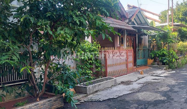Hunian Kokoh Bebas Banjir Di Tridaya Sakti Tambun Bekasi Hunian Kokoh Bebas Banjir Di Tridaya Sakti Tambun Bekasi