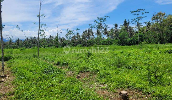 Tanah Bulusan Luas, Banyuwangi, Dekat Ketapang Indah Hotel 2