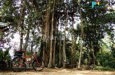 DIJUAL MURAH CEPAT TANAH LUAS PINGGIR JALAN RAYA DI TAMBUN BEKASI UTARA  4