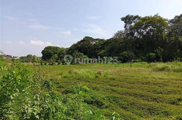 DIJUAL MURAH CEPAT TANAH LUAS PINGGIR JALAN RAYA DI TAMBUN BEKASI UTARA  1
