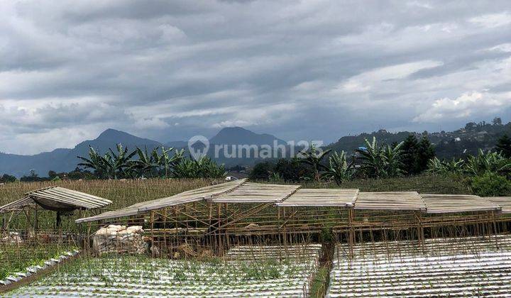 Dekat dengan tempat wisata 3