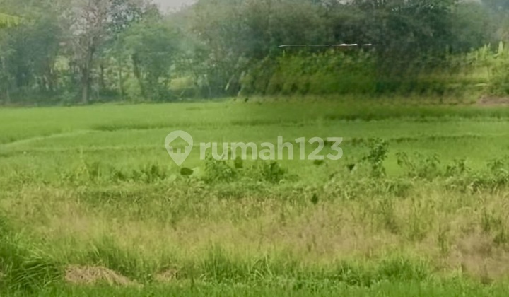 Dijual Tanah kosong di Desa Cikande, Tangerang Banten