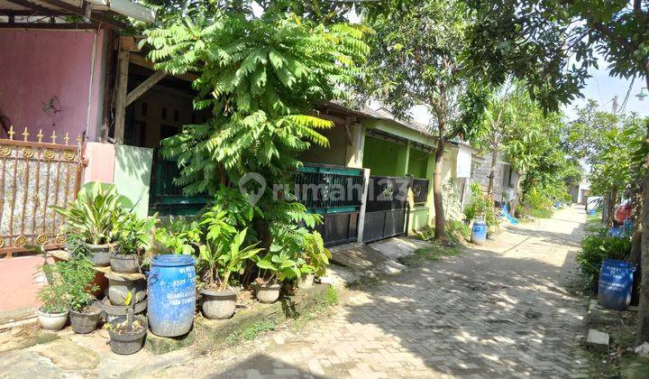 Rumah Mudah Di Rajeg Mulya Residence 4