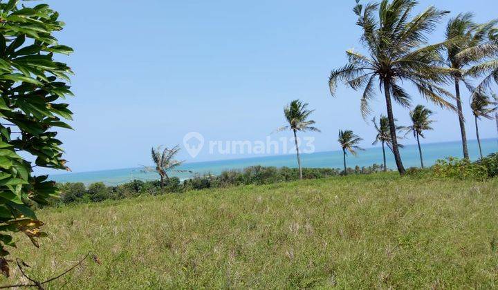 Jual Cepat Tanah Luas 8,3 Hektar Di Cihara Lebak Banten 21