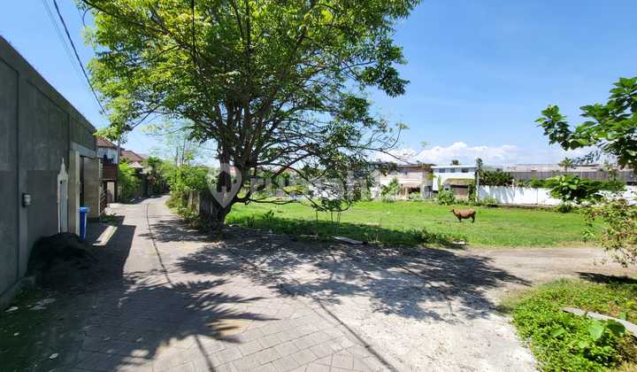 Tanah Kavling Kecil Dekat Umalas 3