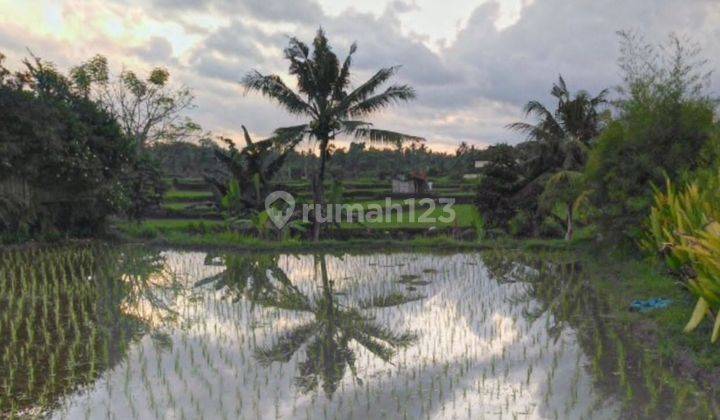 Tanah Sewa Jangka Panjang Leasehold di Sayan Ubud 1