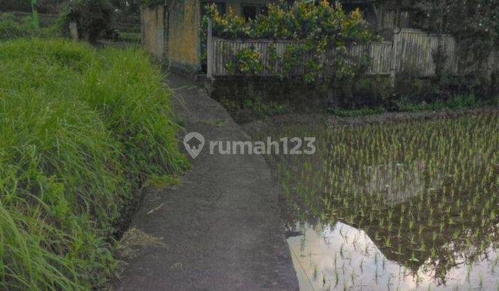Tanah Sewa Jangka Panjang Leasehold di Sayan Ubud 2