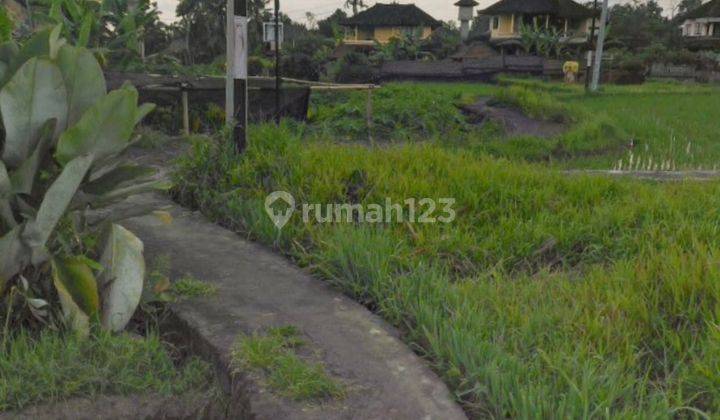 Tanah Sewa Jangka Panjang Leasehold di Sayan Ubud 4