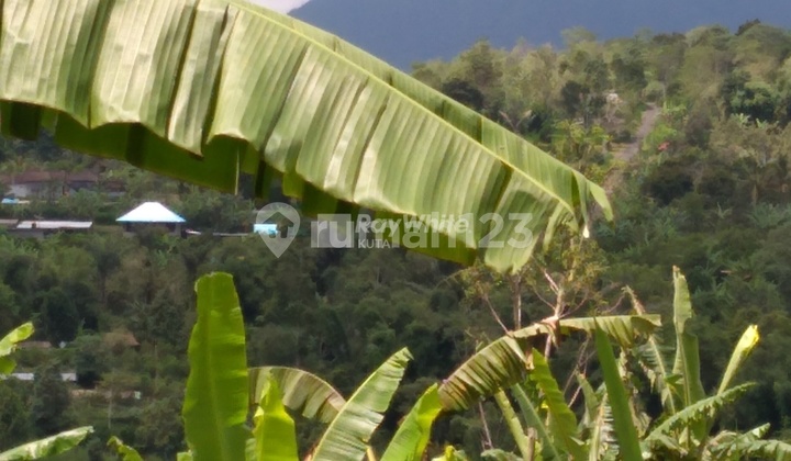 For Sale Lease, Land, Wonderful Mountain View, Plaga. 1