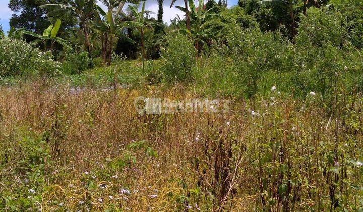For Sale Lease, Land, Wonderful Mountain View, Plaga. 2