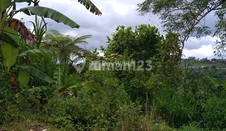 For Sale Lease, Land, Wonderful Mountain View, Plaga. 8