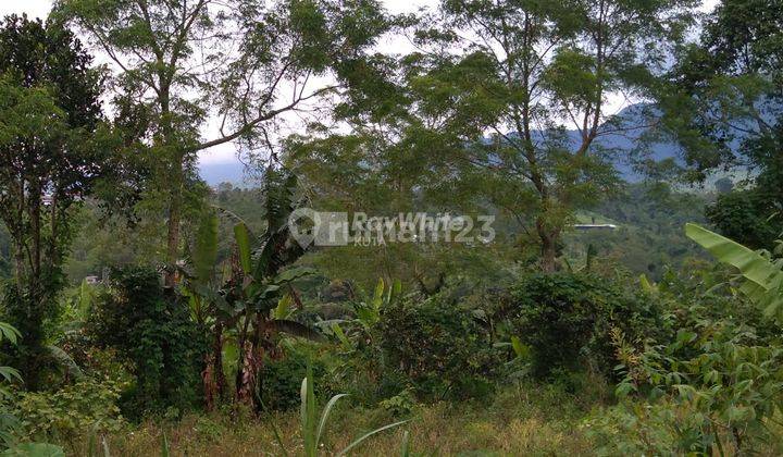 For Sale Lease, Land, Wonderful Mountain View, Plaga. 10