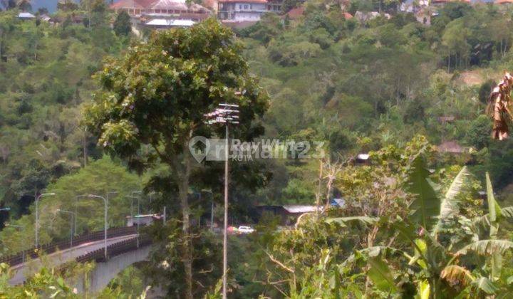 For Sale Lease, Land, Wonderful Mountain View, Plaga. 16