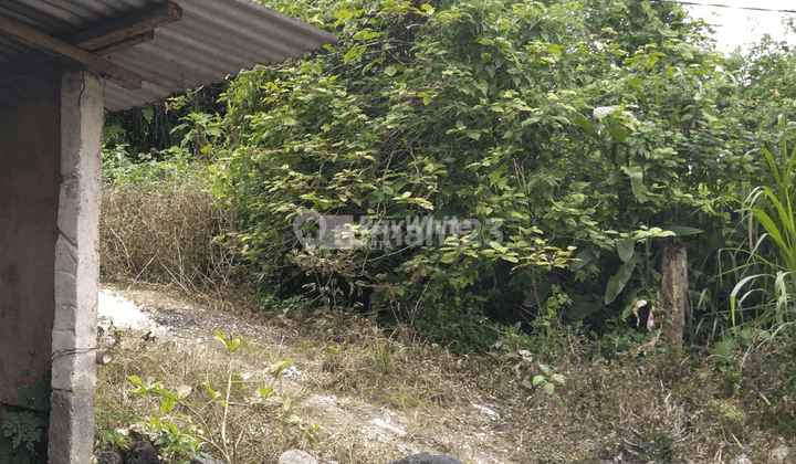 For Sale Lease, Land, Wonderful Mountain View, Plaga. 13