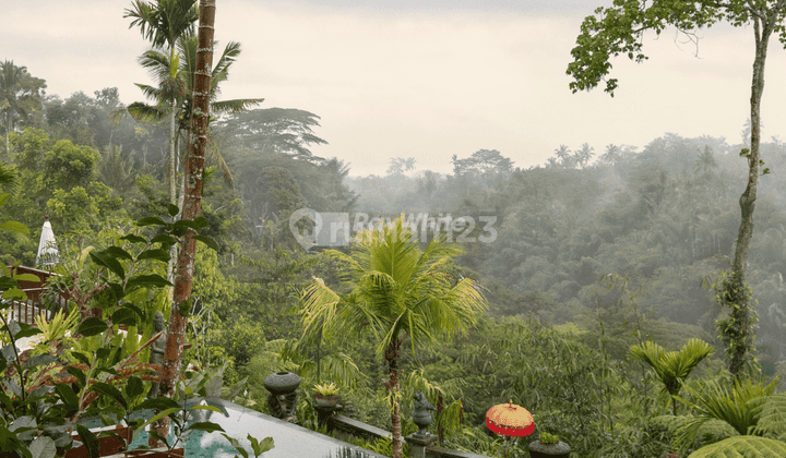 For Sale, Villa, Authentic Bali Style Amazing Jungle View, Tegal Alang 14