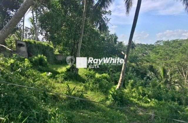 13,14are Hillside Land With Forest And Mount Agung View At Gianyar 1