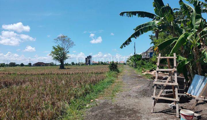 2br Villa With Rice Field And Mountain View At Kedungu On Progress 2