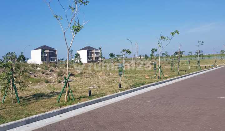 House Plot PIK 2 for Sale Size 12x30 Cheapest Nice Cluster