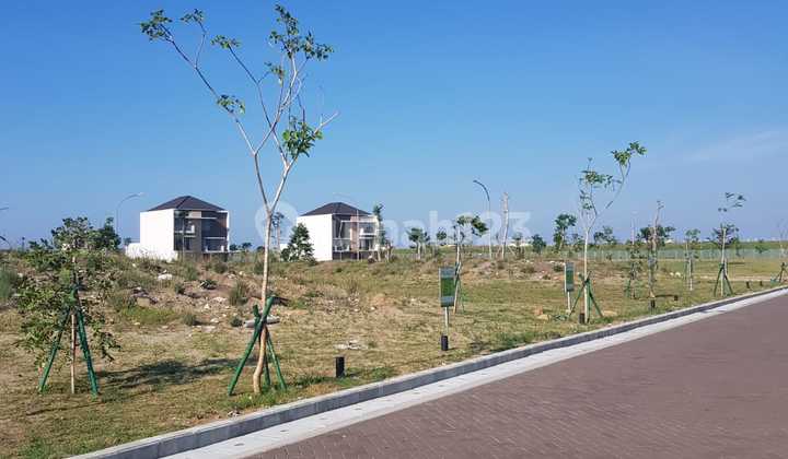 Plot Residence PIK 2 Size 10x20 Facing South Price 26 million/m2