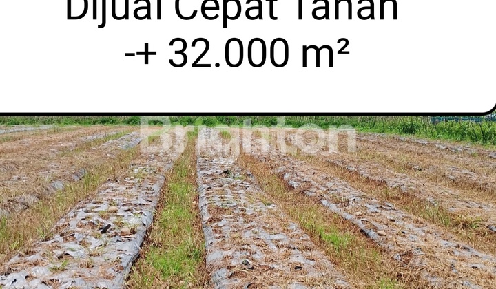 Tanah Luas 3.2 Hektar Karya Wisata Johor Medan Tanah Luas 3.2 Hektar Karya Wisata Johor Medan