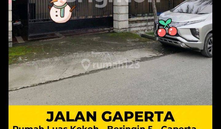 Rumah Luas Kokoh Beringin 5 - Medan Helvetia 1