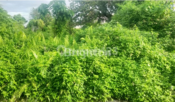 Dijual Tanah Katamso - Medan